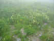 102_0300.JPG (55570 oCg)
