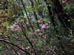 xR46.JPG (206008 oCg)