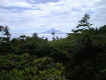 713R15.JPG (101047 oCg)
