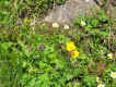 IMG_0042.JPG (118331 oCg)