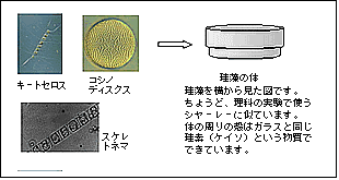 eLXg {bNX:  
 
