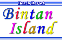ビンタン島ロゴ