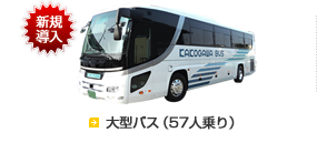 ＜新規導入＞大型バス（57人乗り）