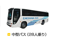 中型バス（28人乗り）