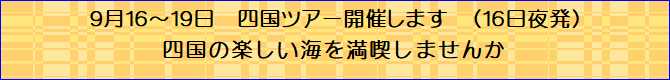 ダイビングツアー