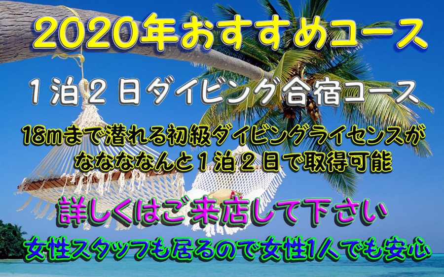 ポップにお友達や家族を紹介して下さい