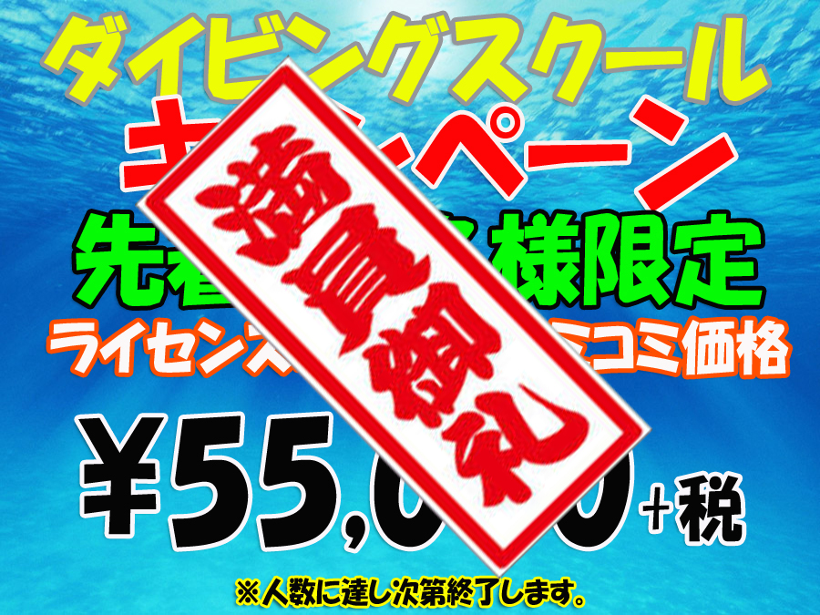 ダイビングスクール割引