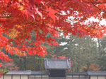 s䉑