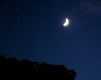 写真２－２：篝の火入れの間に撮った西空の三日月。