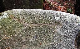 写真４：大国見山頂上の盃岩に刻まれたペトログラフ。