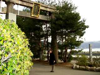 写真８：敦賀湾に臨む常宮神社入口の鳥居。