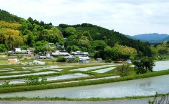 写真３：棚田と里山。