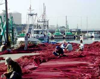写真１－４：石津漁港で網を繕う漁師たち。