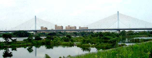 写真７：菅原城北大橋とワンド群。