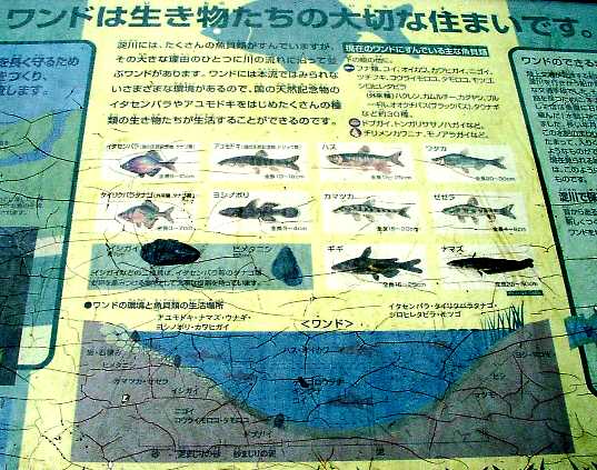 写真８−１：淀川水環境の説明板。