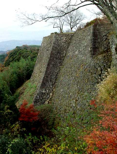 写真ｂ−２：岡城址西側の石垣。