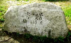 写真２−３：北野高校六稜同窓会の寄贈碑。