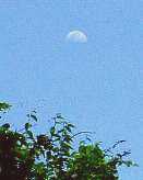 写真１７−１：高石垣の西側の角上空の月。