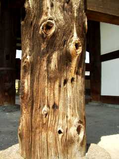 写真Ｔ１－３：木肌を見せる転害門の門柱。