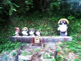 写真１−２：神尾駅に並ぶ狸の置物。