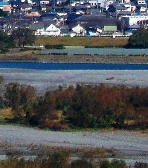 写真１－１－２：大井川河川敷部分の拡大。