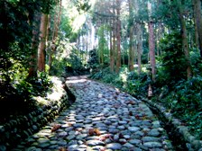 写真４－３：東海道金谷坂の石畳の道。