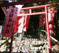 写真６－３：巌室稲荷神社の赤い鳥居。