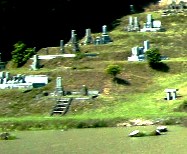 写真１００５０１－１－１：水面スレスレ迄へばり付く墓石群。