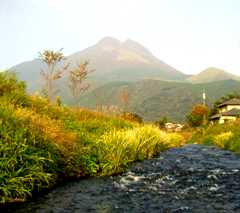 写真６－１：大分川支流から眺めた由布岳。