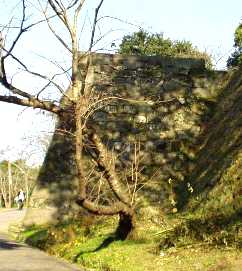 写真８－４：臼杵城跡の石垣。
