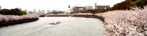写真ａ１：川崎橋から上流を望む。