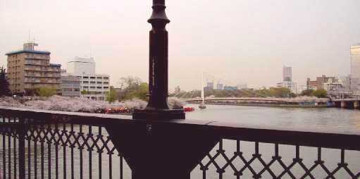 写真ａ１２：天満橋から桜之宮公園を望む。