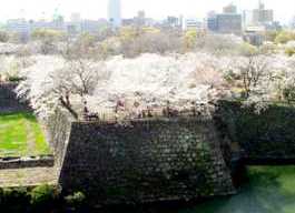 写真ａ１４：大坂城本丸から西の丸庭園を望む。
