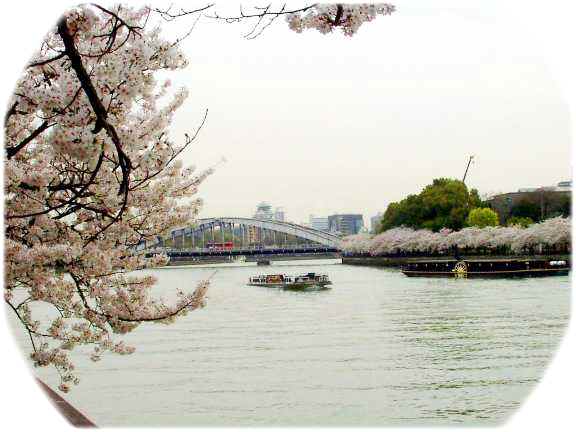 写真ａ２：大川左岸から大阪城を望む。