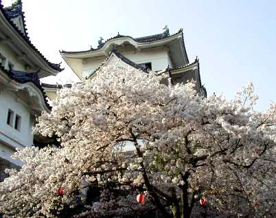 写真ｄ２：伊賀上野城の天守閣。