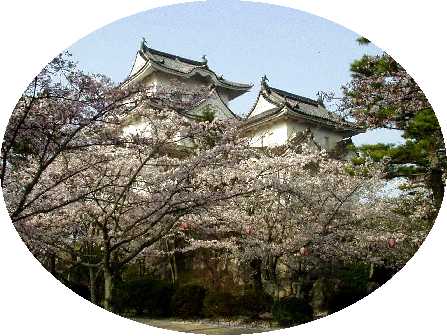 写真ｄ３：本丸西側から見た伊賀上野城。