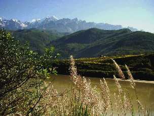 写真２３－２：ススキの川と遠く中甸県の哈巴雪山を望む。