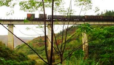 写真１２：焦柳鉄路の貨物列車。