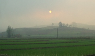 写真２３：孟連の朝霧。