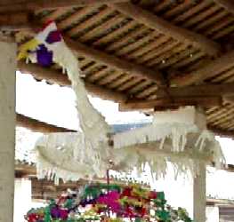 写真ｘ５－１：「神輿の様な物」の上の白い鳥。