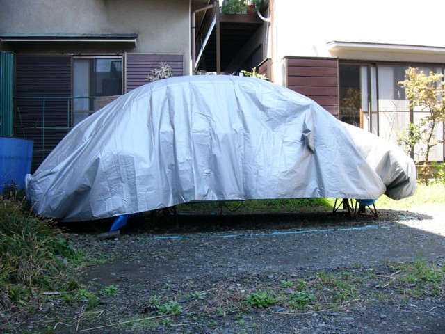 VW81.jpg