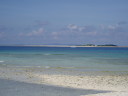 NGt쑤ް