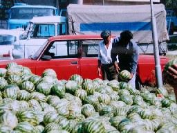 写真：町のスイカ屋さん
