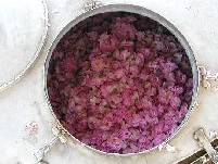 写真：蒸留釜いっぱいのバラの花。