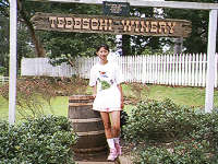 TESESCHI WINERY̊Ŕ