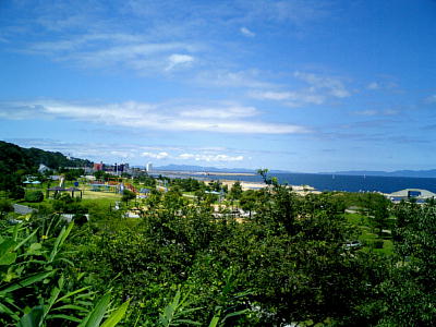 �e���C�����i1