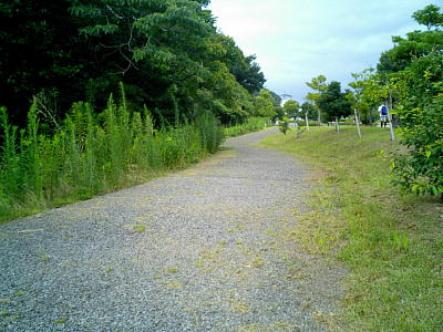 �E�b�h�`�b�v��ܑ̕�