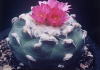 AJoiEo_}
