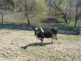 ���q�i�r��y��j