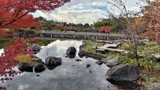 日本庭園紅葉